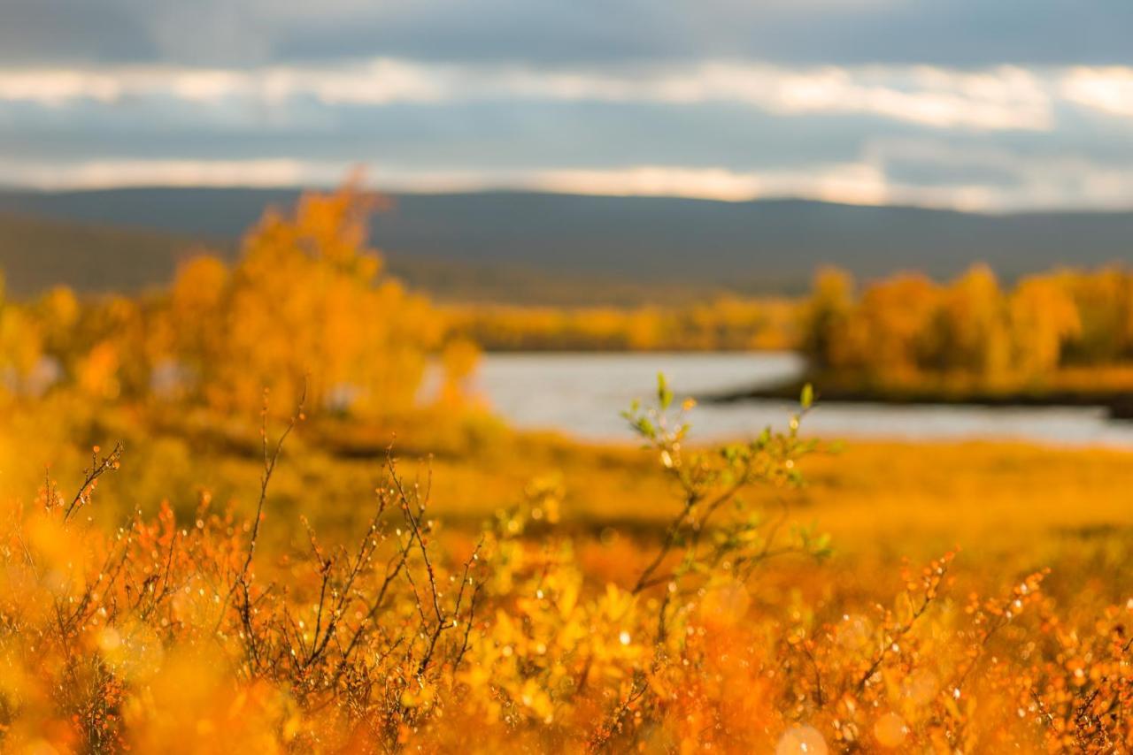 Arctic Gourmet Cabin Kiruna Εξωτερικό φωτογραφία