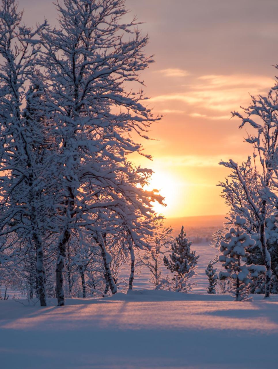 Arctic Gourmet Cabin Kiruna Εξωτερικό φωτογραφία